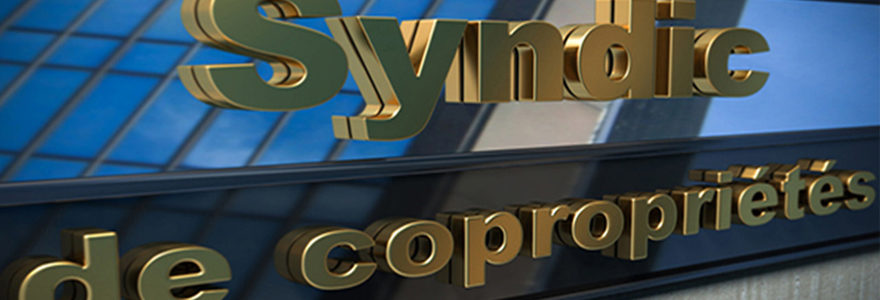 Conseil Pour Bien Choisir Un Syndic De Copropri t En Ligne