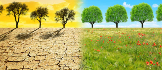Réchauffement climatique