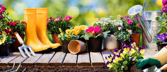 entretenir son jardin