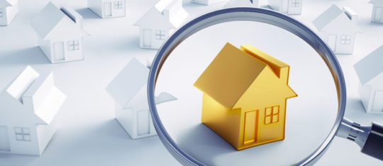 immobilier