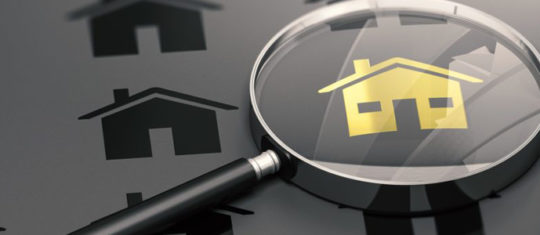 immobilier