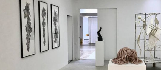 photos d'art