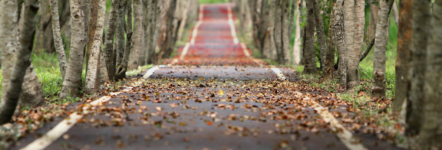 Véloroutes et voies vertes en Vallée